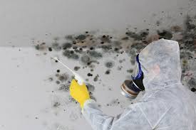 Best HVAC Mold Inspection and Cleaning  in Avenal, CA